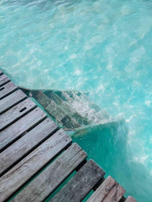 Vacation Home Blue Lotus Caye Caulker Eksteriør bilde